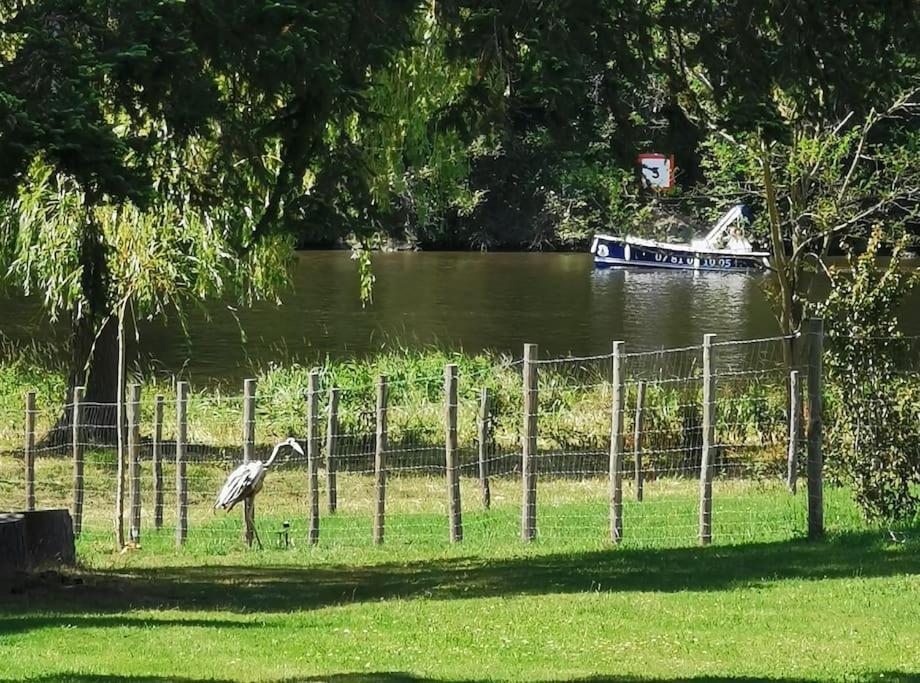 Le Ponton Des Sympetrums Aurec-Sur-Loire Екстер'єр фото